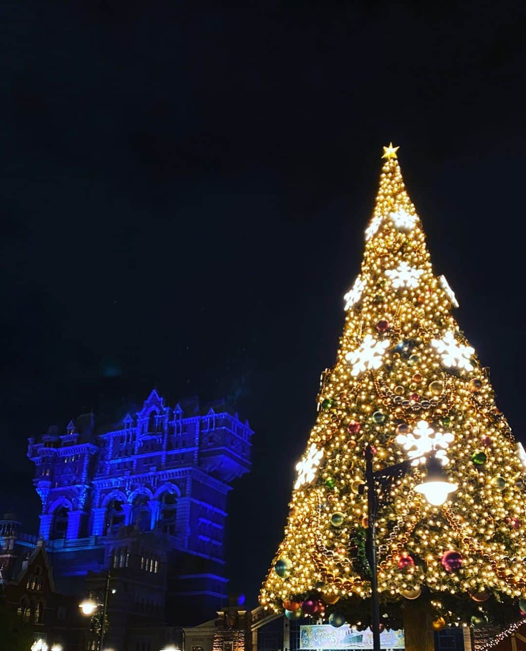 安室奈美恵　ファンアカウントさんのインスタグラム写真 - (安室奈美恵　ファンアカウントInstagram)「ディズニーシー🎄🔔‧✧̣̥̇‧✦‧✧̣̥̇‧✦‧✧̣̥̇‧ めちゃくちゃ綺麗だった😍  #ディズニーシー  #Disney  #タピオカ #Xmas」11月16日 22時51分 - shizuka1119214