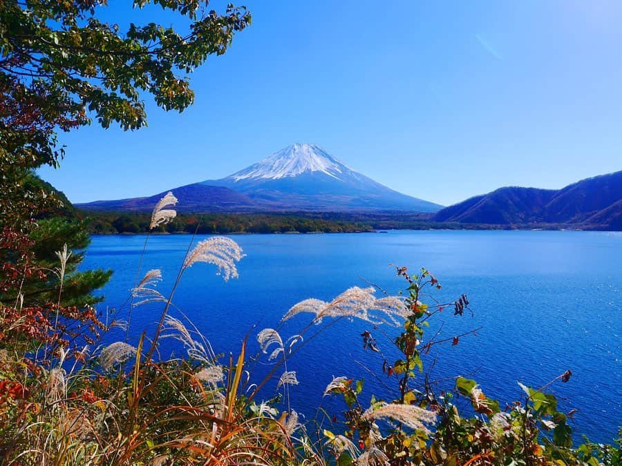 高橋有紀子のグルメインスタ