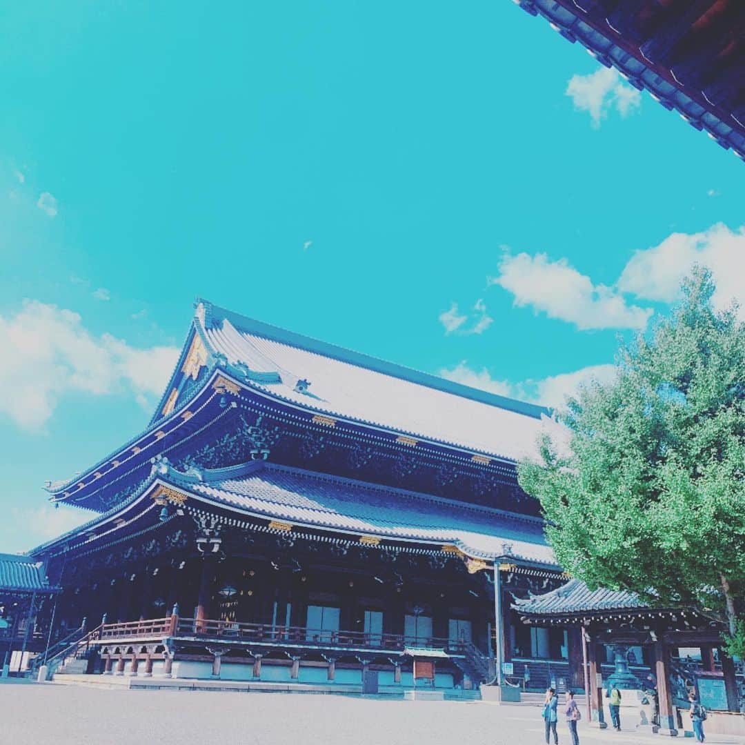 柏崎桃子さんのインスタグラム写真 - (柏崎桃子Instagram)「京都にも行ってたのよ。  #京都 #お寺 #神社 #貴船神社 #水占い #末吉 #小吉 #だったかな #ハッシュタグもうめんどくさい からまた普通に書くけども やっぱり京都はいいよねって話。」11月17日 1時00分 - momoko_kashiwazaki