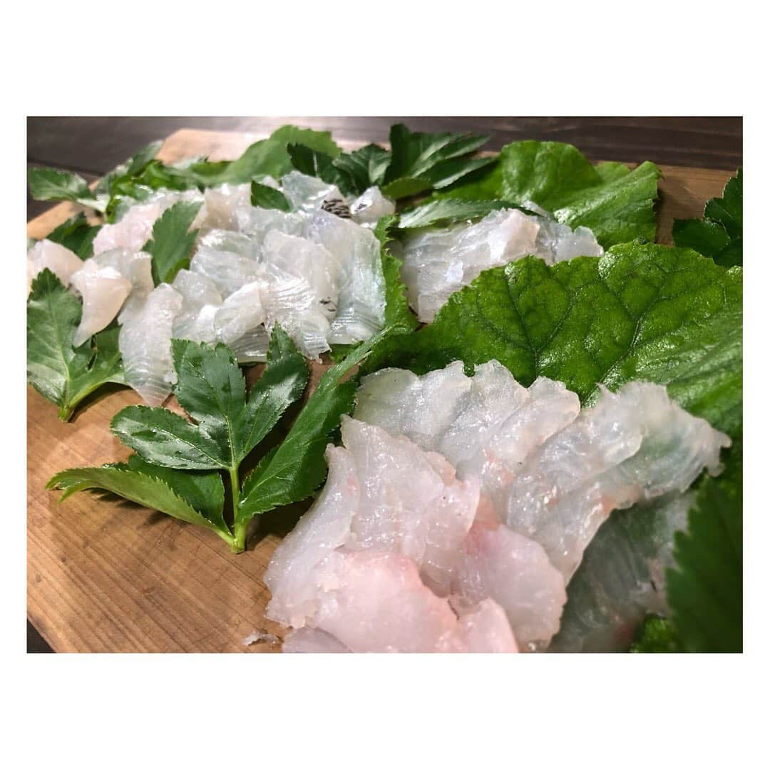 柳野玲子さんのインスタグラム写真 - (柳野玲子Instagram)「大きなウスバハギ🐟 身が柔らかくて美味しかった☺️💞 #西伊豆 #西伊豆町 #西伊豆釣り #釣り #船釣り #ウスバハギ #釣魚 #ふじなみ丸 #西伊豆町観光協会 #海 #富士山 #bbq」11月17日 13時11分 - yanaginoreiko