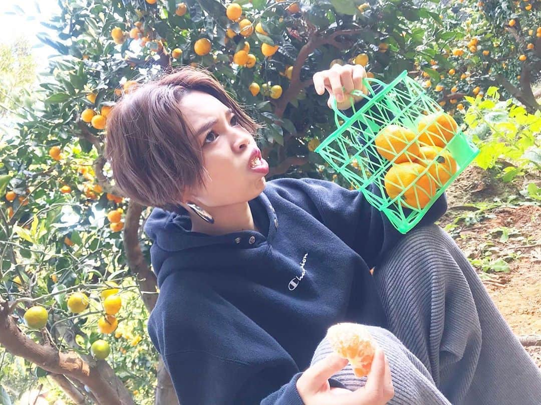 富久美玲さんのインスタグラム写真 - (富久美玲Instagram)「_ . 人生初みかん狩り🍊🍊🍊 30個目標で17個目で限界がきたの図w . 結果20個しか食べれませんでした😂 . #人生初#みかん狩り#蒲郡オレンジパーク」11月17日 12時30分 - mirei_official