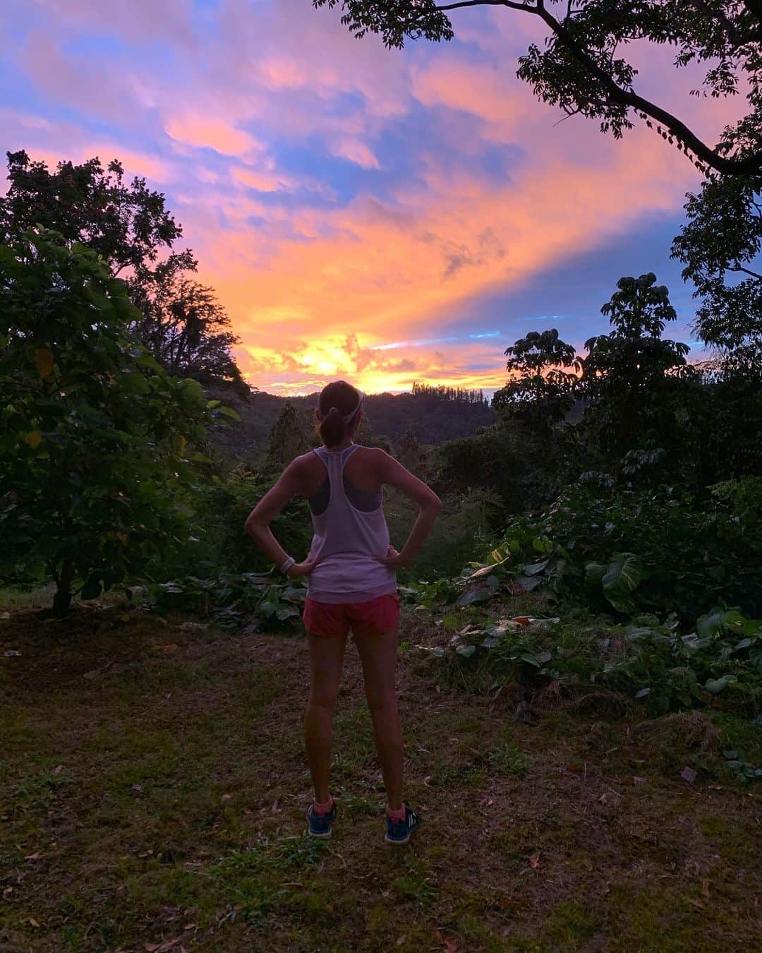 飯島寛子さんのインスタグラム写真 - (飯島寛子Instagram)「Beautiful sunrise from Tantalus. #tantalus #ハワイを走る　#ハワイライフ #朝活　#10マイルラン　#エベンエゼル」11月17日 5時33分 - hirokoiijima