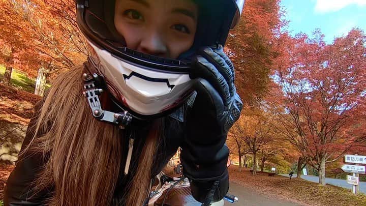 のインスタグラム：「. . もみじ探索に行きましょう！🤗 . 去年も同じ事したけど、またやっちゃった🤩 今年は最後少し違うよ😆 一日の様子もYouTube用に撮影したので、 アップまでお楽しみに。。☺️🍁 . Youtube channel : ruriko_675 . #もみじ湖  #daytona675 #triumph  #motorcycle_moment  #bikersofinstagram  #motogirl  #bikegirl #girlsbiker  #bikestagram #asiangirlrider  #ladybikers #bikergirlsofinstagram  #supersport #supersportbikes  #bike_japan #motorcyclegirl #superbikers #superbikersgram  #バイク女子  #女子ライダー #バイクのある風景  #バイクのある生活  #SS女子 #バイク写真部」