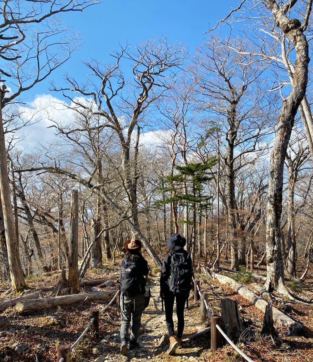 Mai Wakimizuのグルメインスタ