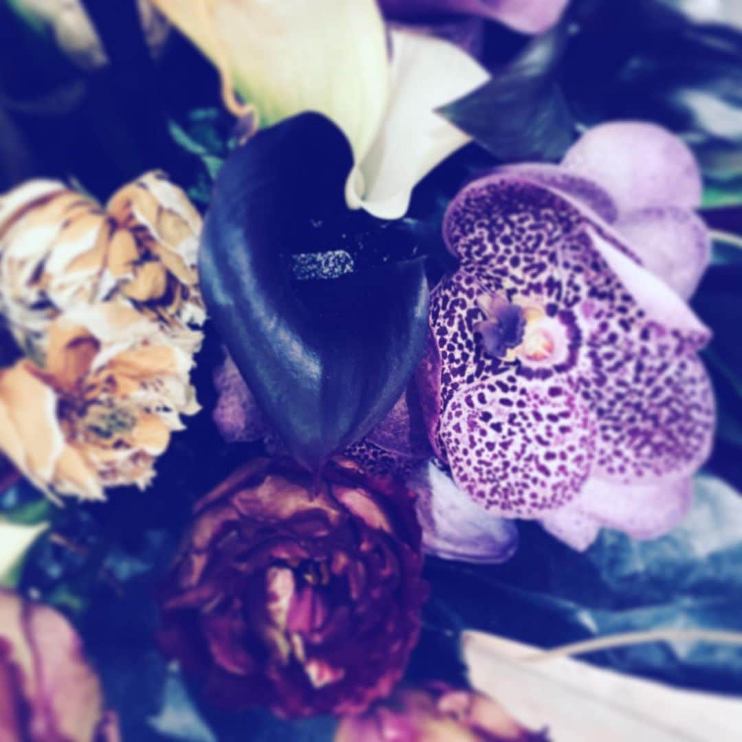 中野敬久さんのインスタグラム写真 - (中野敬久Instagram)「#flower #flowersoflife #colonialsoundscapes」11月17日 9時52分 - hirohisanakano