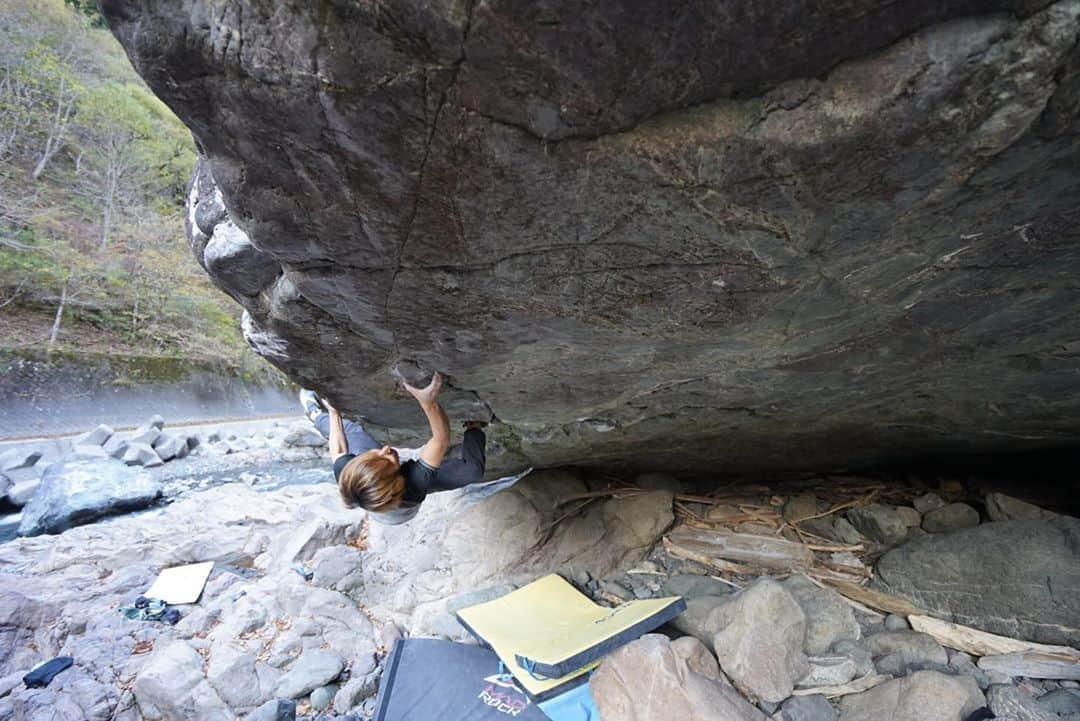 野村真一郎さんのインスタグラム写真 - (野村真一郎Instagram)「Meikyoshisui(8b+/V14)  昨日は初の遠山川。 神楽ケイブ、めちゃくちゃカッコいい岩だったし、トライした明鏡止水も超面白いライン！ 河原の岩はあまり得意じゃないと思ってたけど、以前よりかなり対応できるようになっていて嬉しかった。  最後の悪いマントルで跳ね返されてしまいましたが、かなり好感触なので早くまた行きたい！ 📸: @bashis60  @unparallelup  @unparallel_nordic  @rockmasterhq  @monturajapan  @montura_official  @hamasakichiryoin0929」11月17日 10時13分 - nomura_shinichiro