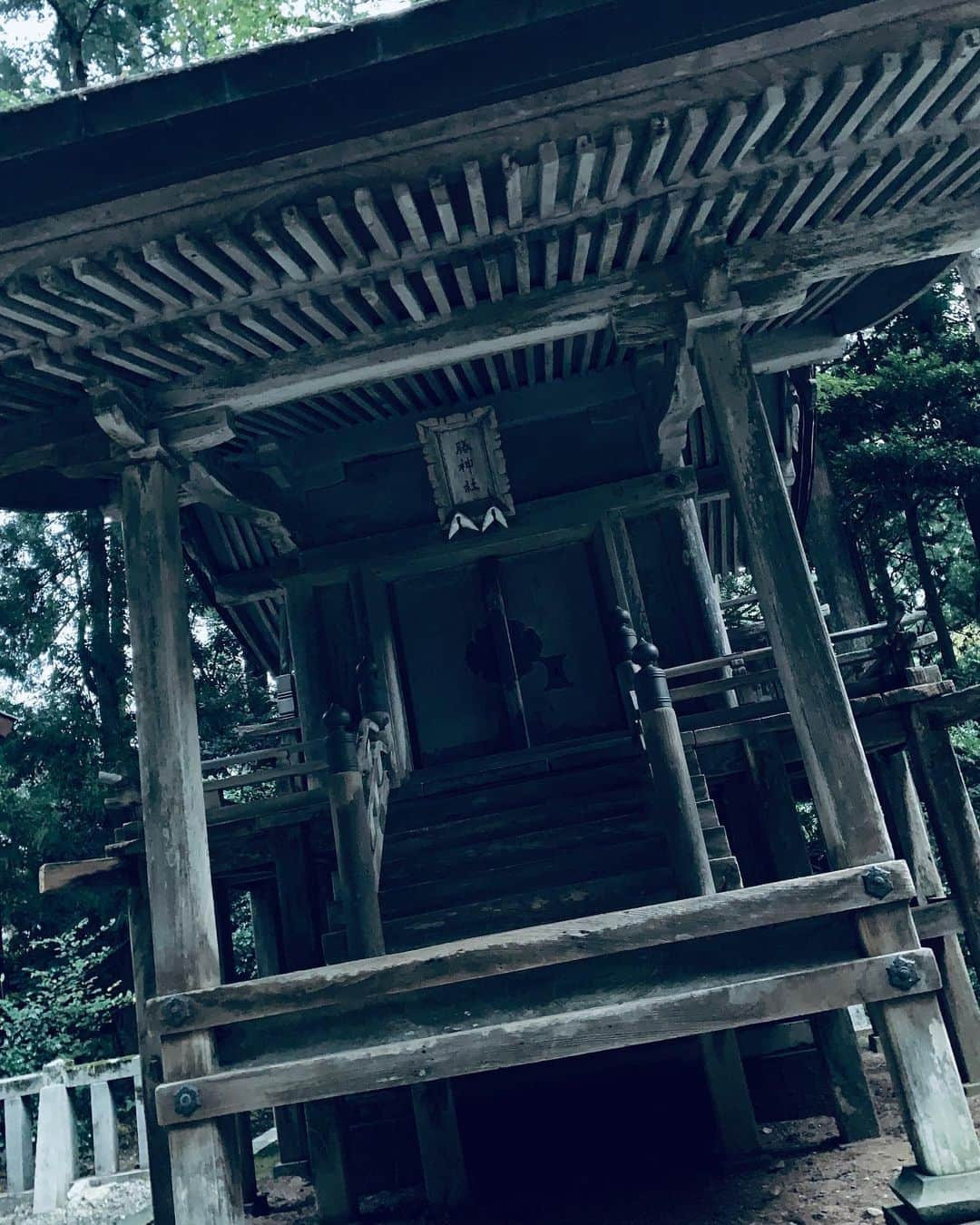 平野綾さんのインスタグラム写真 - (平野綾Instagram)「『仮面山荘殺人事件』新潟公演の時のお話。﻿ ﻿ 入り日に舞台稽古がなかったので、東京で仕事を終えてから、いざ上越新幹線で新潟へ‼︎﻿ レンタカーを借りて弥彦村にある越後一宮　弥彦神社に行ってきました⛩﻿ ﻿ ﻿ 新潟に行くのは多分初めてだったので、観光スポットなど色々調べていたら、﻿ あっ！ここ行ってみたい‼︎……と、直感的に閃いて。。。﻿ ﻿ ﻿ 着いたのは夕方近く。﻿ 灯籠に灯りが燈りだし、より厳かな雰囲気に。﻿ 弥彦山がこの土地を護るようにそびえ立っていて迫力があり、﻿ 空気が澄んでいて、本殿でお祈りした直後から雨が降り始めました……恵みの雨だ✨﻿ こちらの参拝の作法である二礼四拍手一礼もやってみました。﻿ ﻿ ﻿ 有名な重軽の石や、周りにある祓戸神社にも導かれるようにして足を運ぶことができ、﻿ その後に弥彦温泉やお洒落なカフェにも💕﻿ 新潟一のパワースポットを堪能できました！﻿ ﻿ ﻿ 時間があったら弥彦山の頂上にある御神廟にも行きたかった‼︎﻿ 機会がある方は是非✨﻿ ﻿ ﻿ ﻿ ﻿ ﻿ #新潟 #上越新幹線﻿ #弥彦神社 #弥彦村 #越後一宮弥彦神社 ⛩﻿ #重軽の石 #祓戸神社 #弥彦温泉 #パワースポット  #ayahirano #平野綾」11月17日 11時14分 - a_ya.hirano