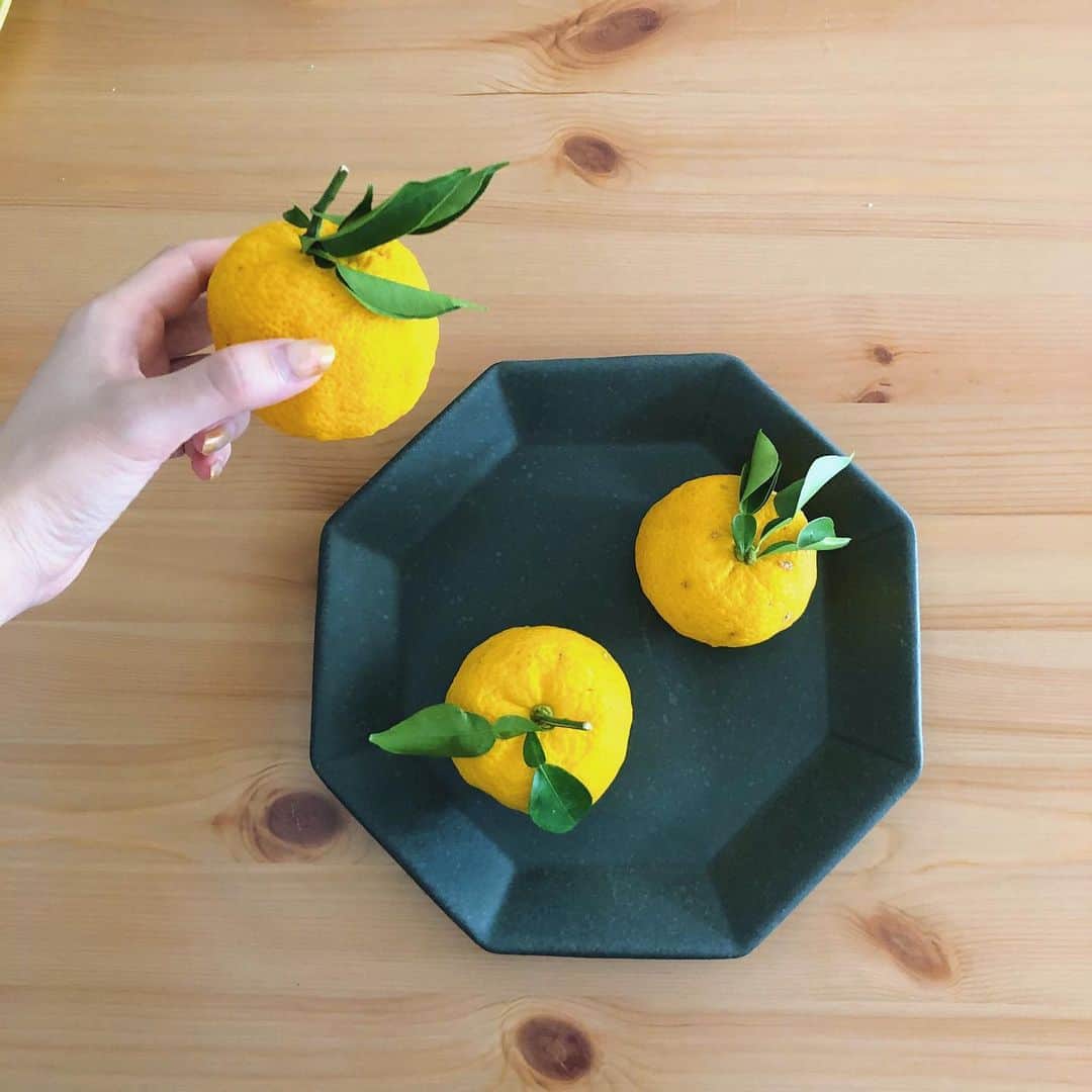 木村ミサのインスタグラム：「🍊🍋🍊﻿ ﻿ gm🌿﻿ ﻿ お裾分けしてもらった﻿ お友達の家でとれた柚子ちゃん🍊﻿ ﻿ ベランダ菜園してみたいな〜﻿ カレーリーフを育てたいけど出来るのだろうか🌿🍛﻿ ﻿ ﻿ ＿＿＿＿＿＿＿＿＿＿＿＿＿＿＿＿＿＿ #柚子 #ゆず #onthetable #よしざわ窯 #益子焼」