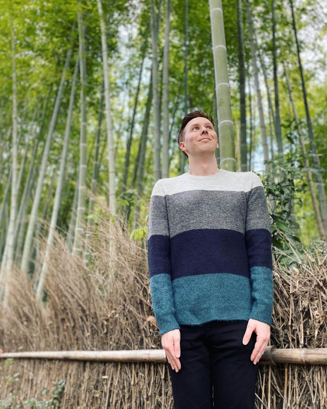 のインスタグラム：「Trying to blend in with the bamboo 🎋」