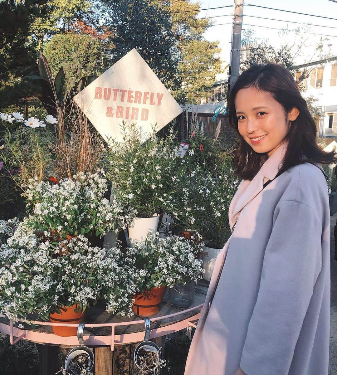 久慈暁子さんのインスタグラム写真 - (久慈暁子Instagram)「* 自然に癒された日🌵 * #green #白いお花」11月17日 21時04分 - kuji_akiko