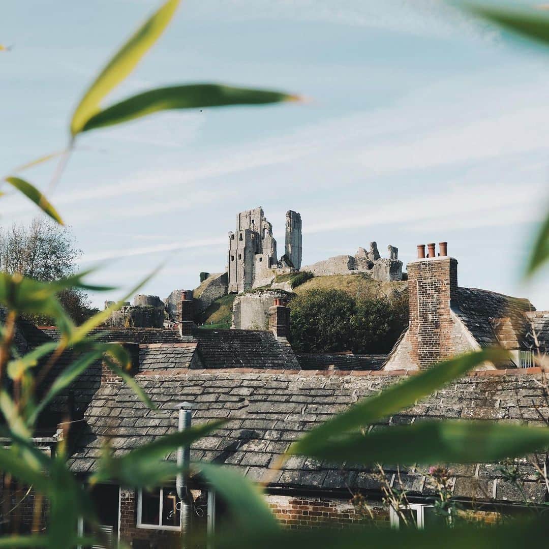 adamのインスタグラム：「exploring the dorset countryside with @canopyandstars 🌳⭐️ #canopyandstars #alifemorewild」