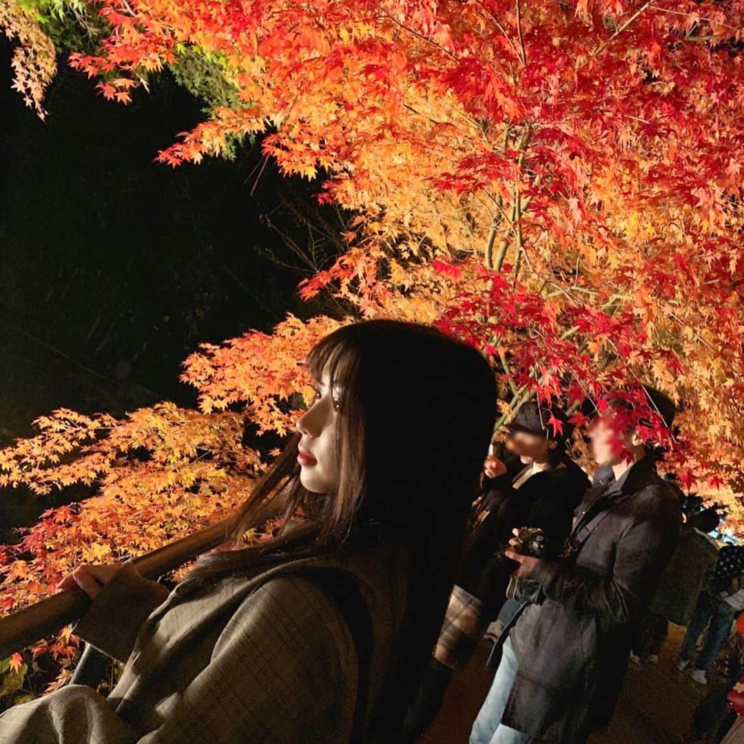 太田彩夏さんのインスタグラム写真 - (太田彩夏Instagram)「曽木公園」11月17日 21時25分 - ayamelody0817
