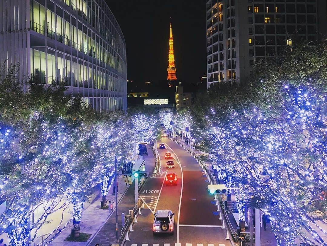 ダレノガレ明美さんのインスタグラム写真 - (ダレノガレ明美Instagram)「六本木ヒルズのイルミネーション✨ ディナー帰りに見れました☺️ @yrpstagram ちゃんとゆりえさんママと💓 沢山のカップルがいて 幸せな気持ちに…☺️」11月17日 21時36分 - darenogare.akemi