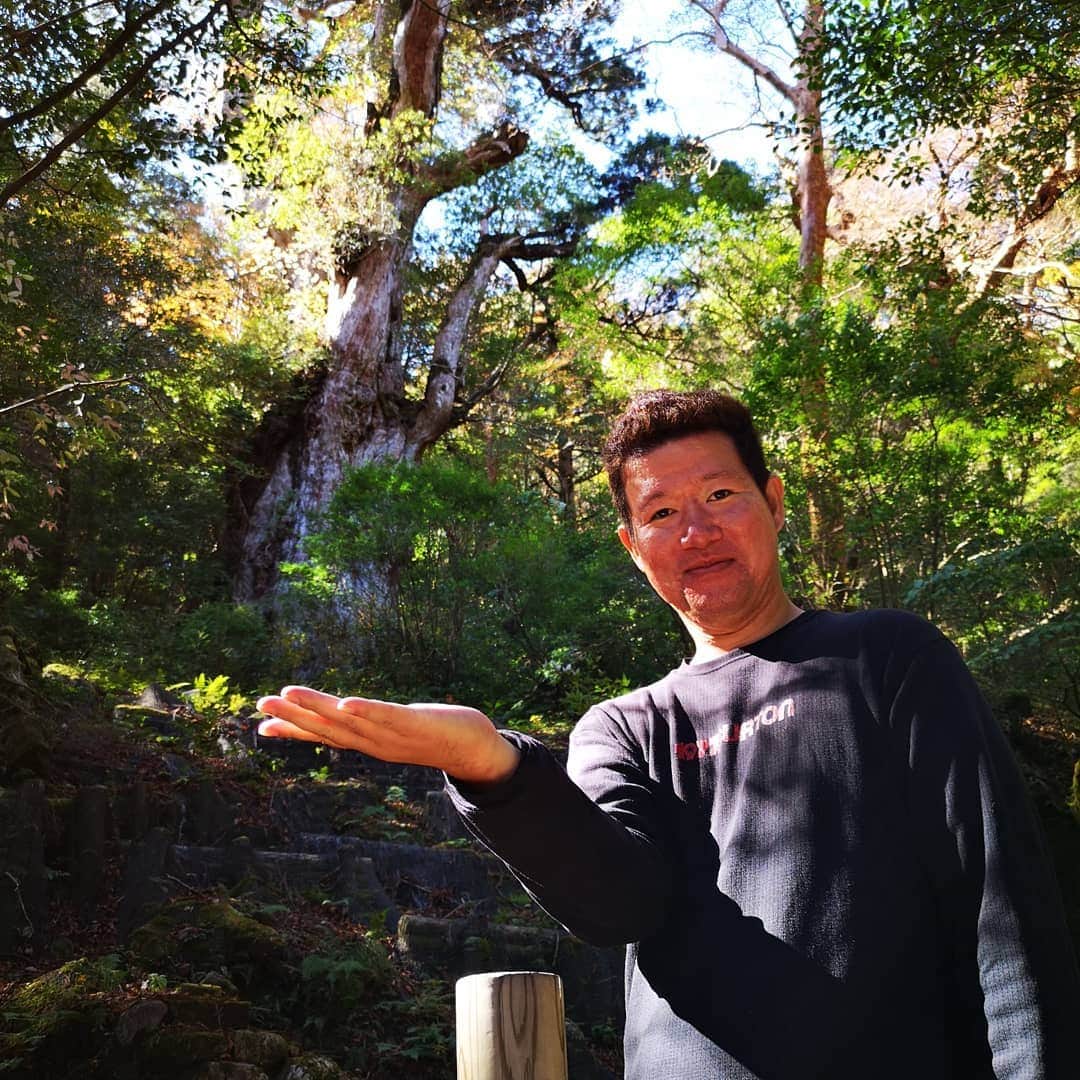 中園健士さんのインスタグラム写真 - (中園健士Instagram)「屋久島で樹齢2000年以上の﻿ 縄文杉を見て来ました❗﻿ ﻿ 往復22キロ。。。。﻿ ﻿ ﻿ 明日から佐賀の温泉旅館に﻿ 移動します。﻿ ﻿ ﻿ さて、何かネットビジネスの世界を見てると﻿ 「楽して稼げる」﻿ 「初心者の私がクリックだけで〜〜」﻿ とか多すぎ。﻿ てか騙されすぎ。﻿ 最初から言っておくと﻿ 転売、僕の輸出転売最低月収５万円プロジェクトは﻿ 大変です。﻿ だからこそ参入障壁があり﻿ マスターすると稼ぎ続けられます。﻿ ﻿ フォロー頂けましたら﻿ 嬉しいです～。﻿ ﻿ ﻿ @nakazono.kenji﻿ ﻿ ﻿ 募集３日で８００人突破！﻿ 初期メンバー限定永久無料！﻿ 起業、集客、情報発信を教える﻿ 中園オンラインサロンへの参加は﻿ ﻿ @nakazono.kenji﻿ ﻿ のトップページから。　﻿ ﻿ インスタフォローはツール無しで﻿ ３ヶ月で１万フォローいきます。﻿ ﻿ ﻿ #屋久島﻿ #屋久杉﻿ #鹿児島﻿ #登山﻿ #世界遺産﻿ #縄文杉﻿ #転売﻿ #せどり﻿ #メルカリ﻿ #ヤフオク﻿ #Amazon﻿ #アマゾン﻿ #eBay﻿ #イーベイ﻿ #起業﻿ #起業女子﻿ #在宅ワーク﻿ #副業﻿ #副収入﻿ #自由人﻿ #バックパッカー﻿ #世界絶景﻿ #SNS」11月17日 21時56分 - nakazono.kenji