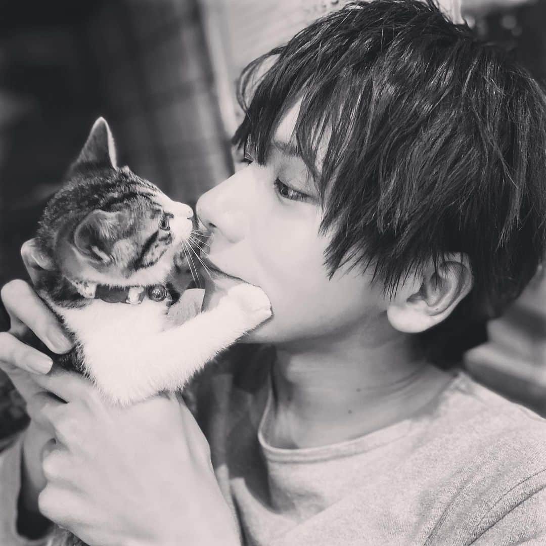 松田岳さんのインスタグラム写真 - (松田岳Instagram)「猫🐈  #ねこすたぐらむ #有り難き #可愛いすぎる #存在が罪ぃ  #可愛いすぎるー #ドラえもん #ねこ #こねこ #こねこすたぐらむ  #にゃんだふるらいふ  #🐈」11月17日 22時10分 - matsuda.gaku
