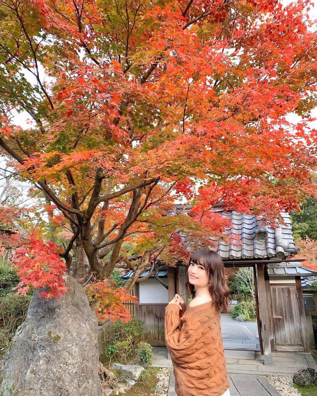 浅井麻里さんのインスタグラム写真 - (浅井麻里Instagram)「🍁🍁﻿ ﻿ 本日は朝早くから、﻿ 東京→名古屋→京都の弾丸移動💨﻿ ﻿ 京都の紅葉ステキ❤️🍁﻿ ﻿ 縁側に座って美しい庭園を眺めたり、﻿ 紅葉の中をのーんびり歩いたり…﻿ 最近まったり休めてなかったから、﻿ 日本の良き風景に癒され中✨☺️﻿ ﻿ パラパラ漫画的な感じで﻿ 写真3枚投稿してるから見てね⏩（笑）﻿ ﻿ ﻿ 片っぽオフショルになるブラウンニットは﻿ @esutoreja の💕﻿ ﻿ ゆったり着られるからもっと落として﻿ 肩大胆に出すこともできるし、﻿ オフショルまでしなくてゆるめに着ることもできて﻿ 2wayの着方が楽しめる🎵😋﻿ ﻿ こういうざっくり系ニット大好き❤️❤️﻿ ﻿ ﻿ #esutoreja#esutorejasnap#esutorejaコーデ#きょこ#京都#紅葉#お寺#紅葉狩り#正法寺#マイトリ#日本庭園#kyoto」11月17日 22時11分 - mari_asai_625