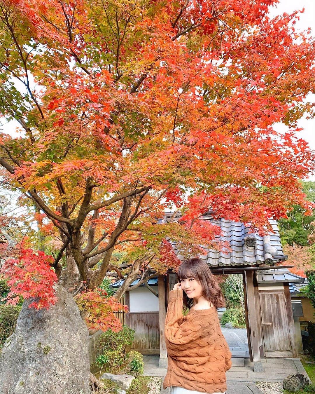 浅井麻里さんのインスタグラム写真 - (浅井麻里Instagram)「🍁🍁﻿ ﻿ 本日は朝早くから、﻿ 東京→名古屋→京都の弾丸移動💨﻿ ﻿ 京都の紅葉ステキ❤️🍁﻿ ﻿ 縁側に座って美しい庭園を眺めたり、﻿ 紅葉の中をのーんびり歩いたり…﻿ 最近まったり休めてなかったから、﻿ 日本の良き風景に癒され中✨☺️﻿ ﻿ パラパラ漫画的な感じで﻿ 写真3枚投稿してるから見てね⏩（笑）﻿ ﻿ ﻿ 片っぽオフショルになるブラウンニットは﻿ @esutoreja の💕﻿ ﻿ ゆったり着られるからもっと落として﻿ 肩大胆に出すこともできるし、﻿ オフショルまでしなくてゆるめに着ることもできて﻿ 2wayの着方が楽しめる🎵😋﻿ ﻿ こういうざっくり系ニット大好き❤️❤️﻿ ﻿ ﻿ #esutoreja#esutorejasnap#esutorejaコーデ#きょこ#京都#紅葉#お寺#紅葉狩り#正法寺#マイトリ#日本庭園#kyoto」11月17日 22時11分 - mari_asai_625