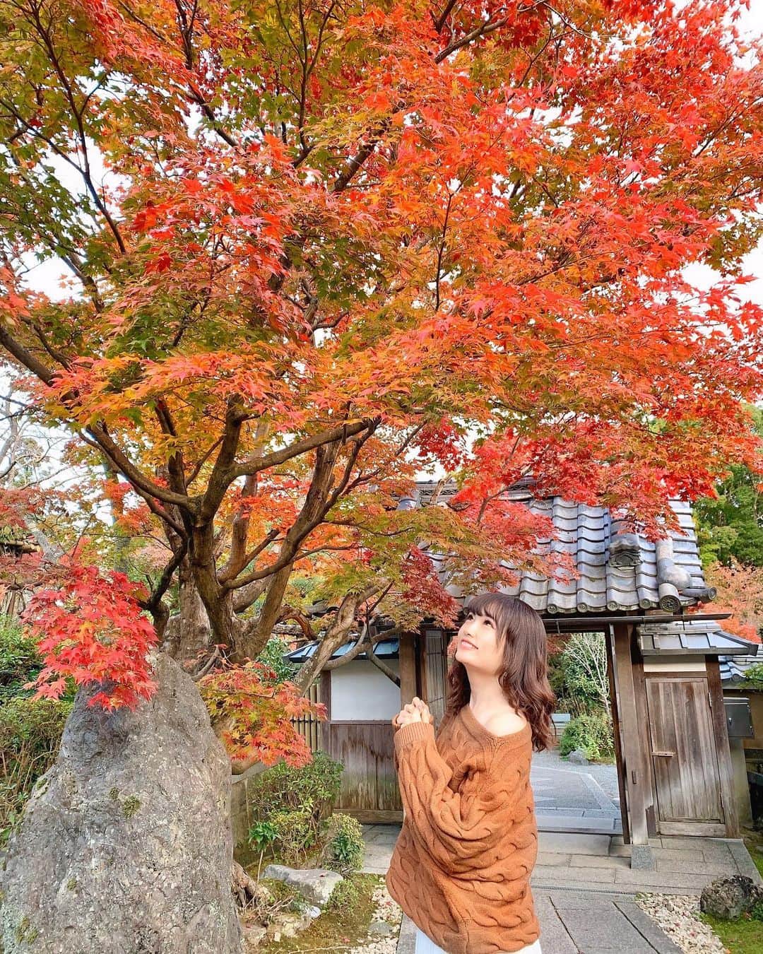 浅井麻里さんのインスタグラム写真 - (浅井麻里Instagram)「🍁🍁﻿ ﻿ 本日は朝早くから、﻿ 東京→名古屋→京都の弾丸移動💨﻿ ﻿ 京都の紅葉ステキ❤️🍁﻿ ﻿ 縁側に座って美しい庭園を眺めたり、﻿ 紅葉の中をのーんびり歩いたり…﻿ 最近まったり休めてなかったから、﻿ 日本の良き風景に癒され中✨☺️﻿ ﻿ パラパラ漫画的な感じで﻿ 写真3枚投稿してるから見てね⏩（笑）﻿ ﻿ ﻿ 片っぽオフショルになるブラウンニットは﻿ @esutoreja の💕﻿ ﻿ ゆったり着られるからもっと落として﻿ 肩大胆に出すこともできるし、﻿ オフショルまでしなくてゆるめに着ることもできて﻿ 2wayの着方が楽しめる🎵😋﻿ ﻿ こういうざっくり系ニット大好き❤️❤️﻿ ﻿ ﻿ #esutoreja#esutorejasnap#esutorejaコーデ#きょこ#京都#紅葉#お寺#紅葉狩り#正法寺#マイトリ#日本庭園#kyoto」11月17日 22時11分 - mari_asai_625