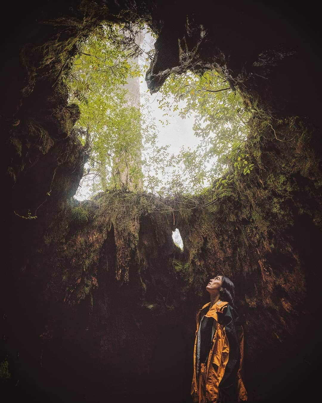 Berlin Tokyoのインスタグラム：「What you see depends not just on what you look at, but also on where you look from. Find a different world from a unique perspective. . . . #hellofrom yakushima, #japan」