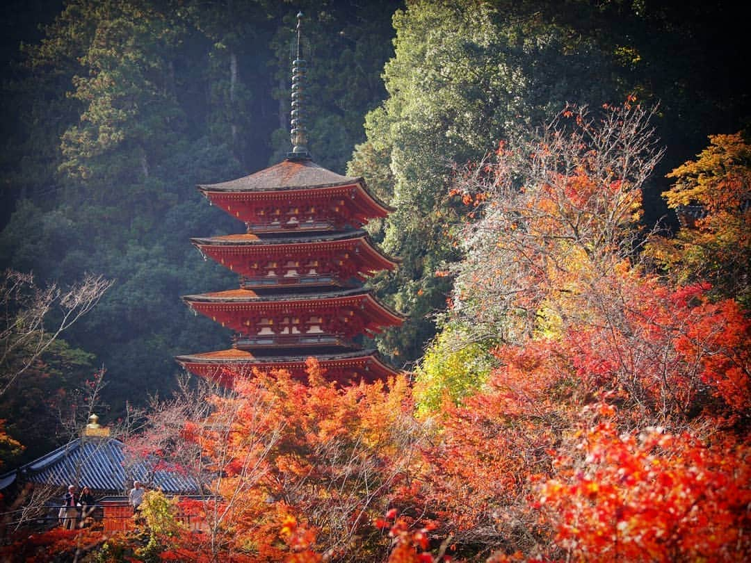 和田益典のインスタグラム