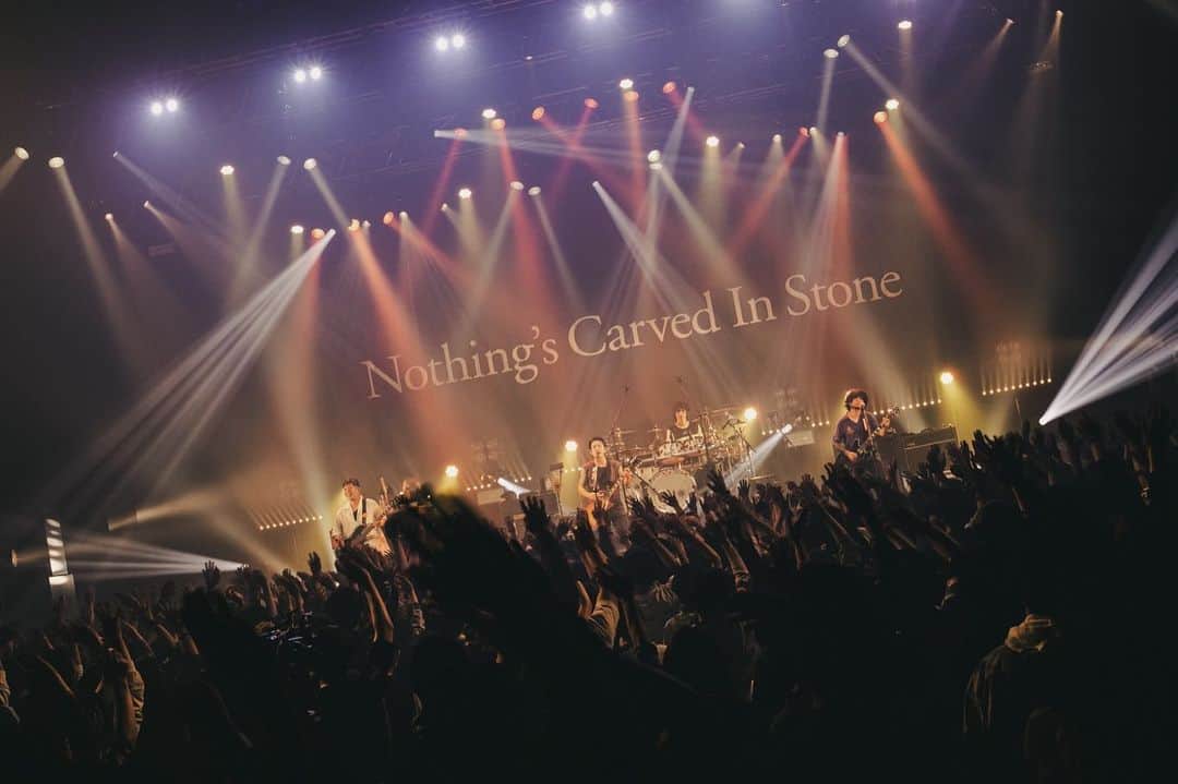 のインスタグラム：「November 15th @nekoze_photo  #nothingscarvedinstone」
