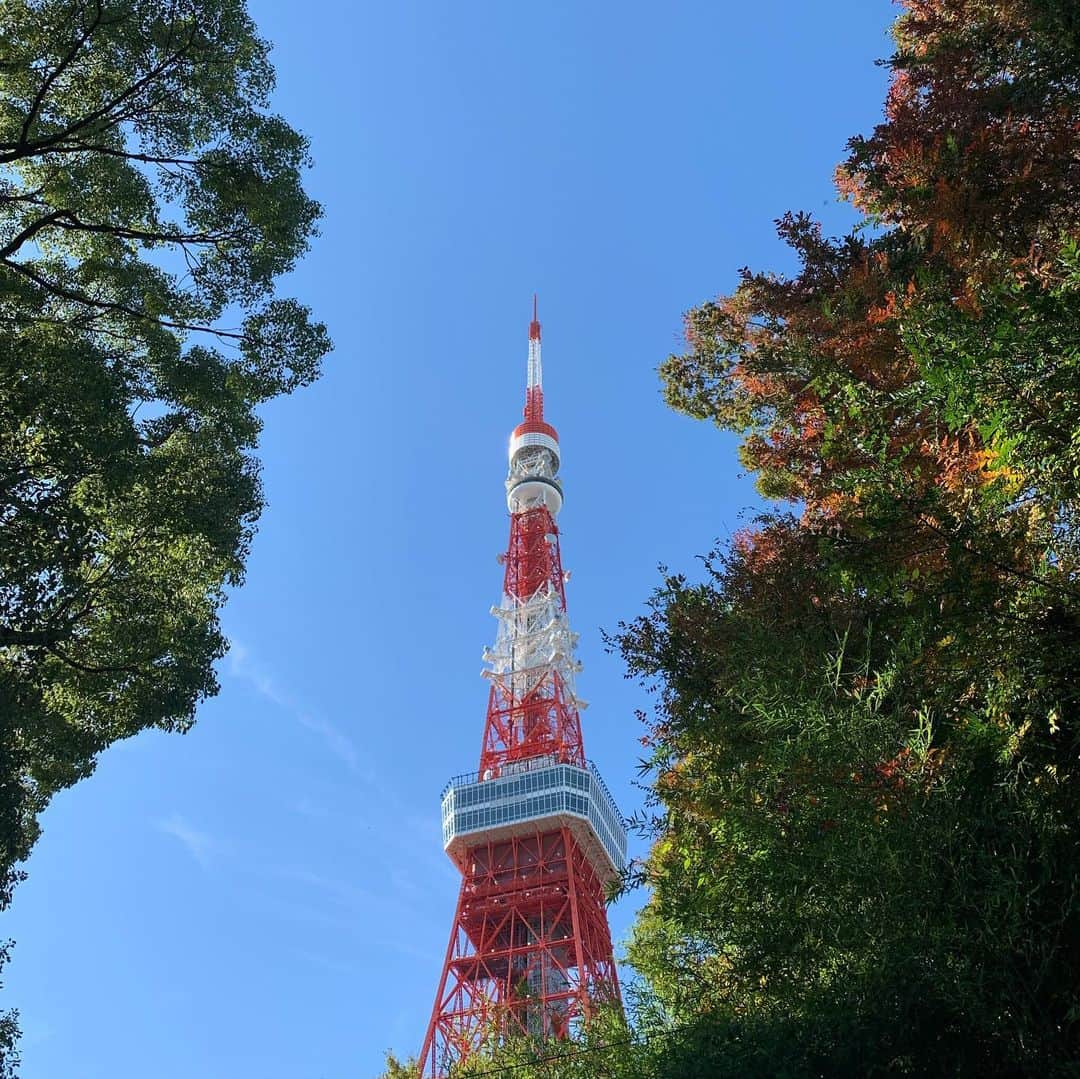 くろさんのインスタグラム写真 - (くろInstagram)「ランチはホルモンまさる🍺 食後は東京タワーまでお散歩🗼 東京タワーで沖縄イベントやってたのでサータアンダギーとオリオンビール🍺 で、増上寺からのスタバ芝大門🍓 #ホルモンまさる #食べログ百名店2019 #食べログ百名店 #昼からビール #昼ビ #東京タワー #東京タワー沖縄garden #沖縄garden #増上寺 #スタバ #ストロベリーケーキフラペチーノ #スターバックスコーヒー芝大門店」11月17日 13時56分 - m6bmw