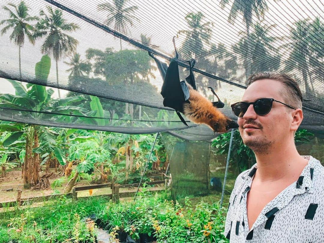 ロビン・シュルツさんのインスタグラム写真 - (ロビン・シュルツInstagram)「Met a new Friend 😘」11月17日 14時34分 - robin__schulz