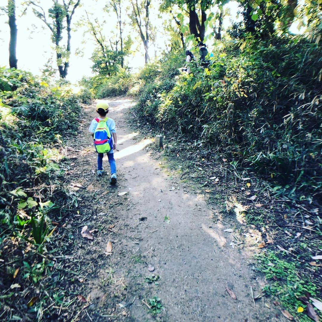 水谷さるころさんのインスタグラム写真 - (水谷さるころInstagram)「はにコット来た！　今城塚古墳は！　いい古墳！　しかし！　フェスの密度が濃くて子連れの限界を感じる…。積み残しばっかりで帰る展開…😭　#はにコット」11月17日 15時25分 - salucoro