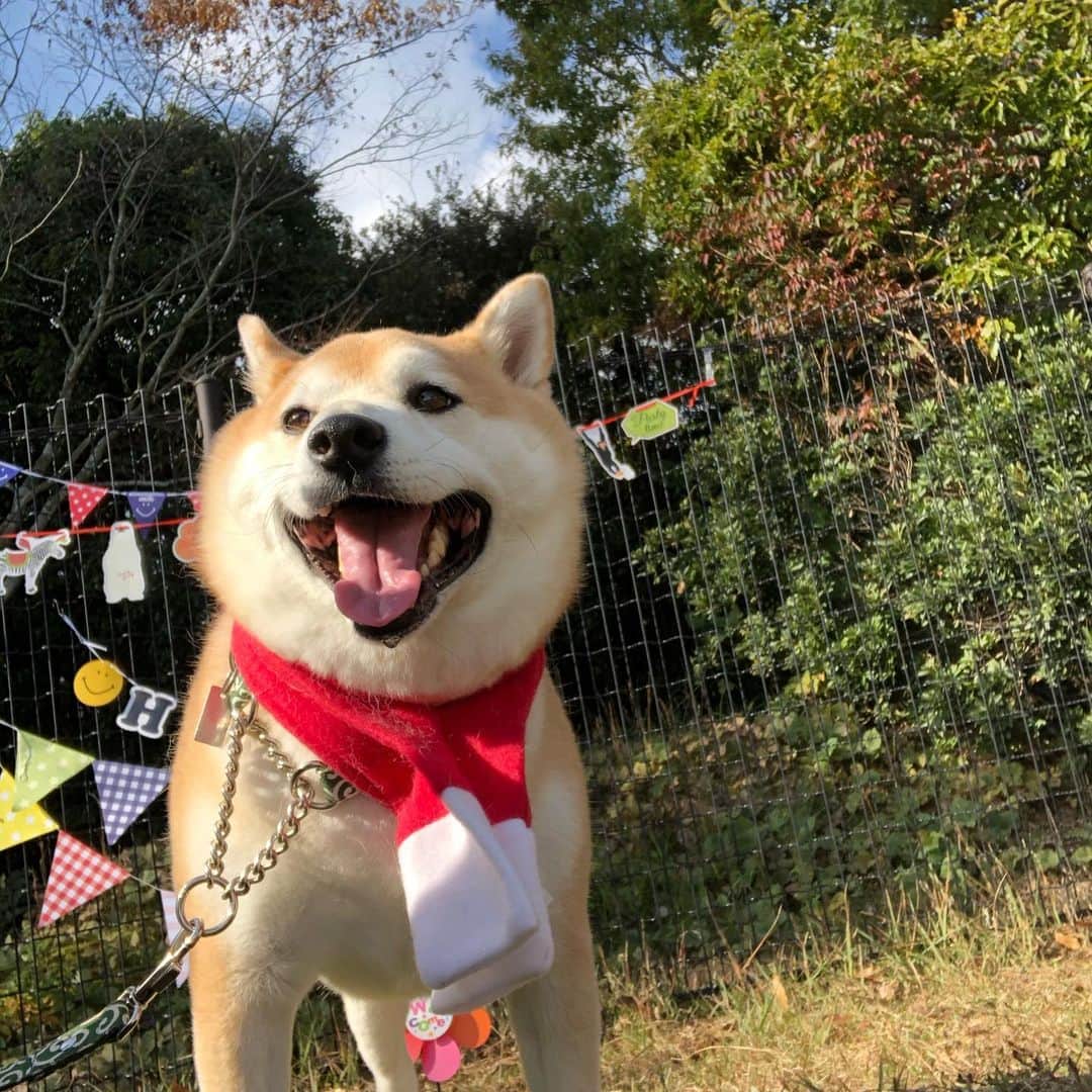 豆助左衛門（まめすけざえもん）のグルメインスタ