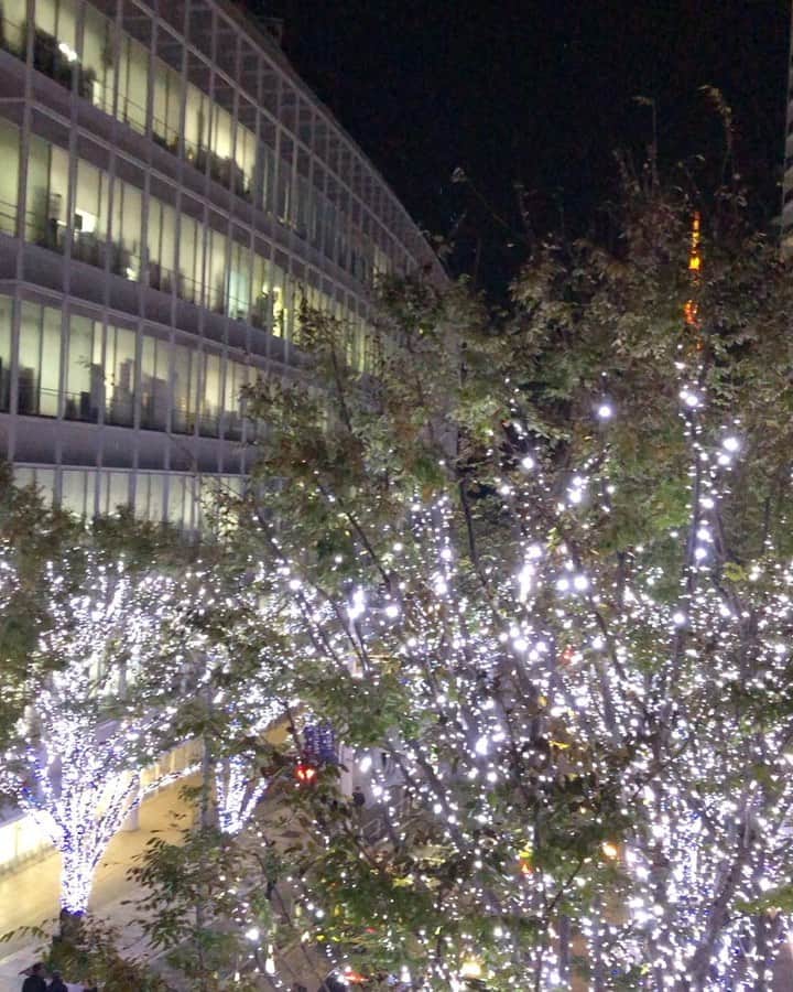 亀田誠治のインスタグラム：「台湾から帰っきたら、東京もクリスマススペックでウキウキ！🎅🎄✨」