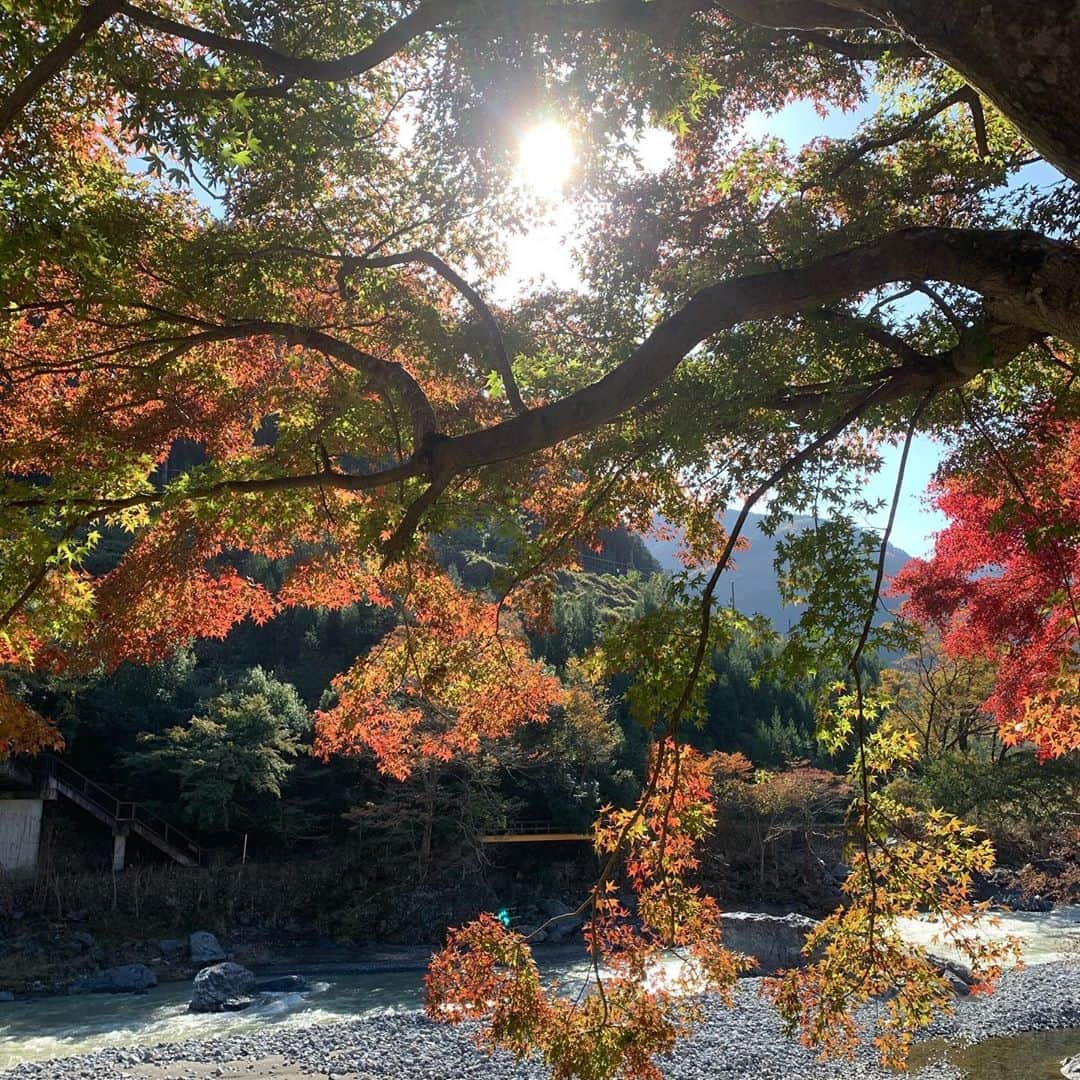 大高伽弥さんのインスタグラム写真 - (大高伽弥Instagram)「🌳御嶽清掃に参加してきました🌳 台風の被害で橋や流木が流されていたりと、この目で被害の大きさを感じることができました。 主に作業はゴミ拾いや流木を片付け。 自然災害には決して逆らえないけど、今回の清掃で自分の手で御嶽を綺麗にしていく感覚はとても気持ちの良いものだと感じました😊  また、今回の清掃を通じて日頃からゴミ削減の意識など改めて考えるようにしたいです。 参加された皆様、お疲れ様でした！  ちなみに昨日のジャパンツアー大阪大会は8位でした。 アテンプトの差が順位に響いてしまったけど、それ以上に5完登したかったな〜 調子は悪くないのでここから更にフィジカルを上げていきます👍  @tokyopowder @eyecandyworks #緑風堂鍼灸院 #御嶽清掃」11月17日 17時27分 - kayaowl