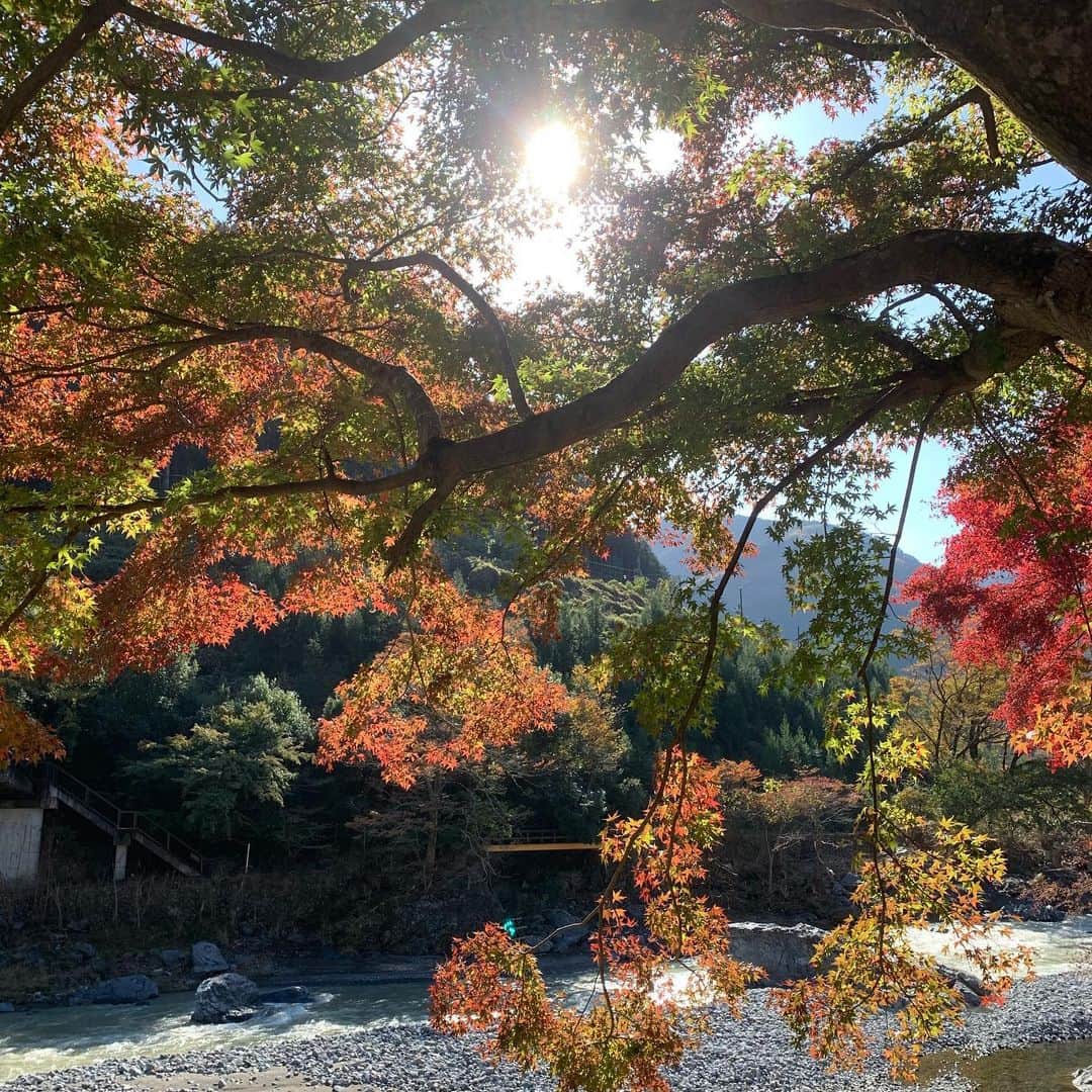 大高伽弥のインスタグラム：「🌳御嶽清掃に参加してきました🌳 台風の被害で橋や流木が流されていたりと、この目で被害の大きさを感じることができました。 主に作業はゴミ拾いや流木を片付け。 自然災害には決して逆らえないけど、今回の清掃で自分の手で御嶽を綺麗にしていく感覚はとても気持ちの良いものだと感じました😊  また、今回の清掃を通じて日頃からゴミ削減の意識など改めて考えるようにしたいです。 参加された皆様、お疲れ様でした！  ちなみに昨日のジャパンツアー大阪大会は8位でした。 アテンプトの差が順位に響いてしまったけど、それ以上に5完登したかったな〜 調子は悪くないのでここから更にフィジカルを上げていきます👍  @tokyopowder @eyecandyworks #緑風堂鍼灸院 #御嶽清掃」