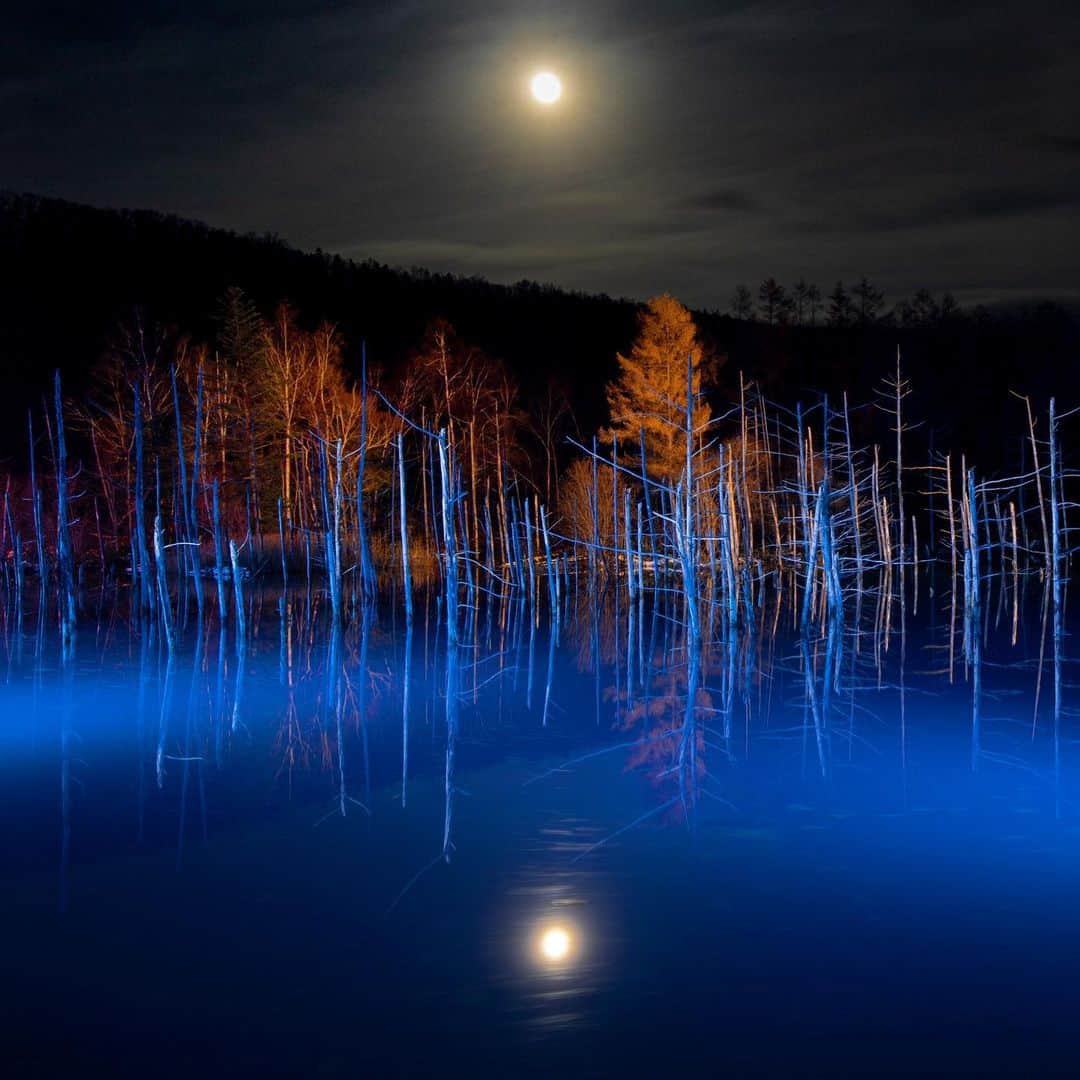 kyoko_zzzのインスタグラム：「Moonlight on the blue pond  2019.11.11」