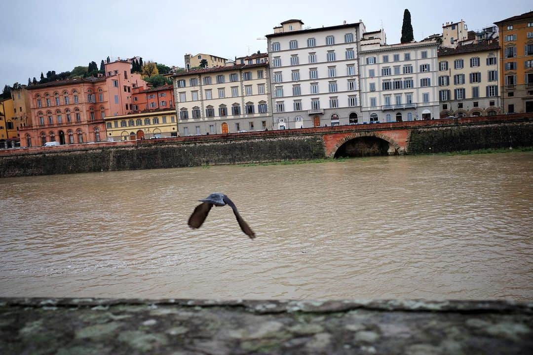 イェソンさんのインスタグラム写真 - (イェソンInstagram)「Arno R. and Ponte Vecchio .. The dove that welcomed us 🕊 #firenze」11月17日 18時16分 - yesung1106