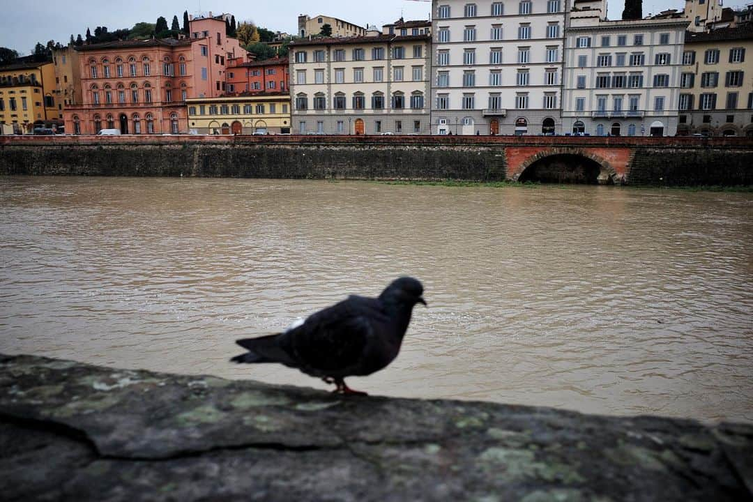 イェソンさんのインスタグラム写真 - (イェソンInstagram)「Arno R. and Ponte Vecchio .. The dove that welcomed us 🕊 #firenze」11月17日 18時16分 - yesung1106