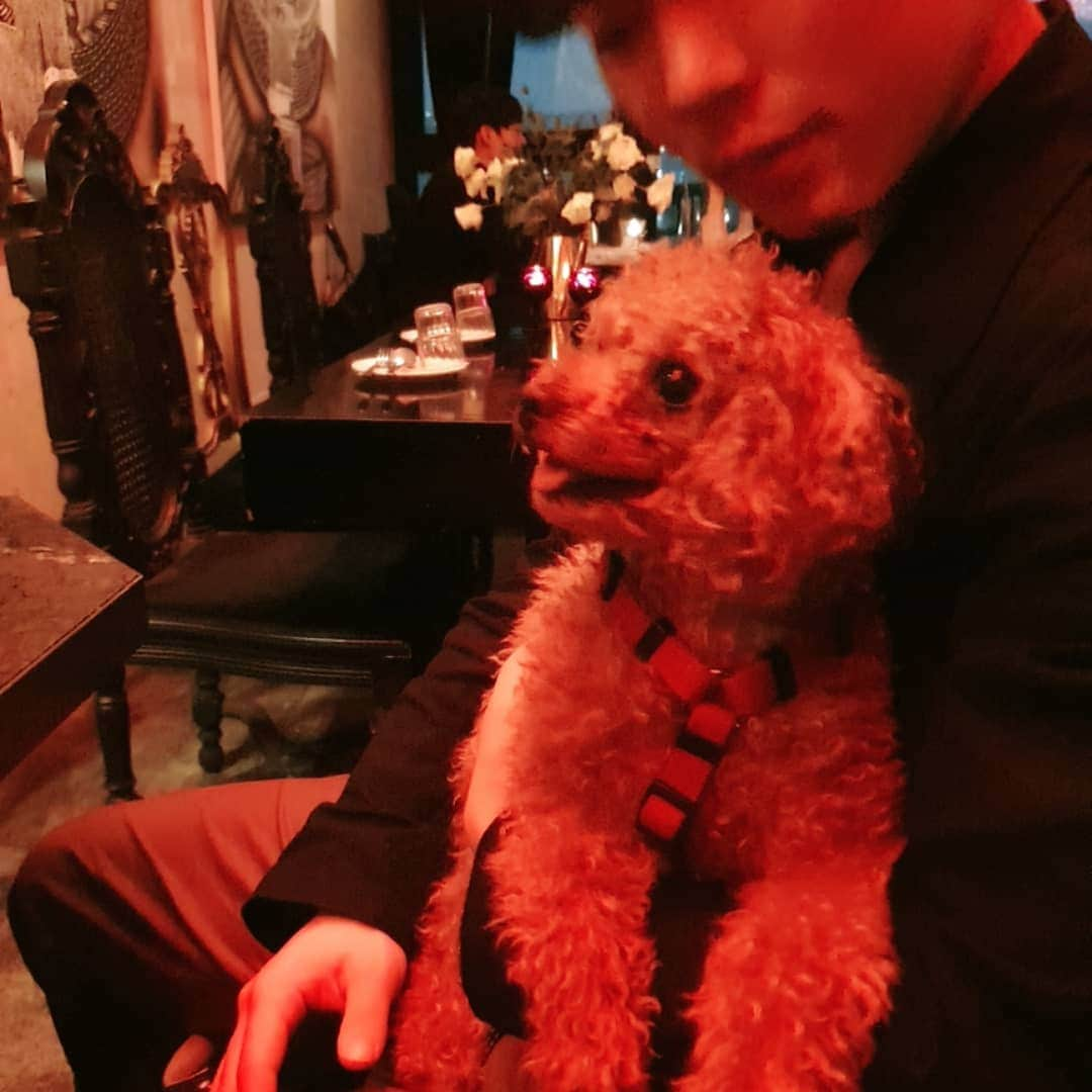 ホン・ソクチョンさんのインスタグラム写真 - (ホン・ソクチョンInstagram)「손님강쥐 땅콩이 ㅎㅎㅎ 얌전하고 넘 이뻐 ㅎㅎ #경리단 #마이스카이」11月17日 18時59分 - tonyhong1004