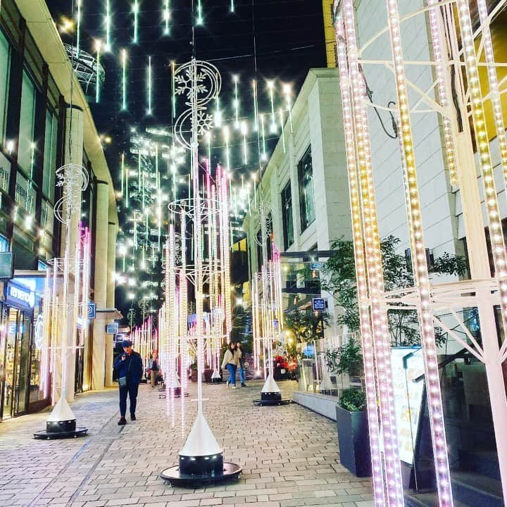 鎌田梢のインスタグラム：「気付いたら街中がクリスマスになっていて、急に焦り出す今日この頃。ご無沙汰しております☺️クリスマスに解禁日ってあるのかな？ってほど、ガラリと景色が変わったので驚きました。 近況としては、運動苦手過ぎて学生の頃から体育は見学上等だったこのわたしが、ヨガを一年続けたということを自慢したいです！！累計111回も行ってるので褒めて欲しい…✨ で、みなさんの日プの推しは誰ですか？☺️」