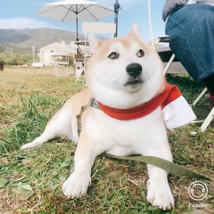 豆助左衛門（まめすけざえもん）のグルメインスタ