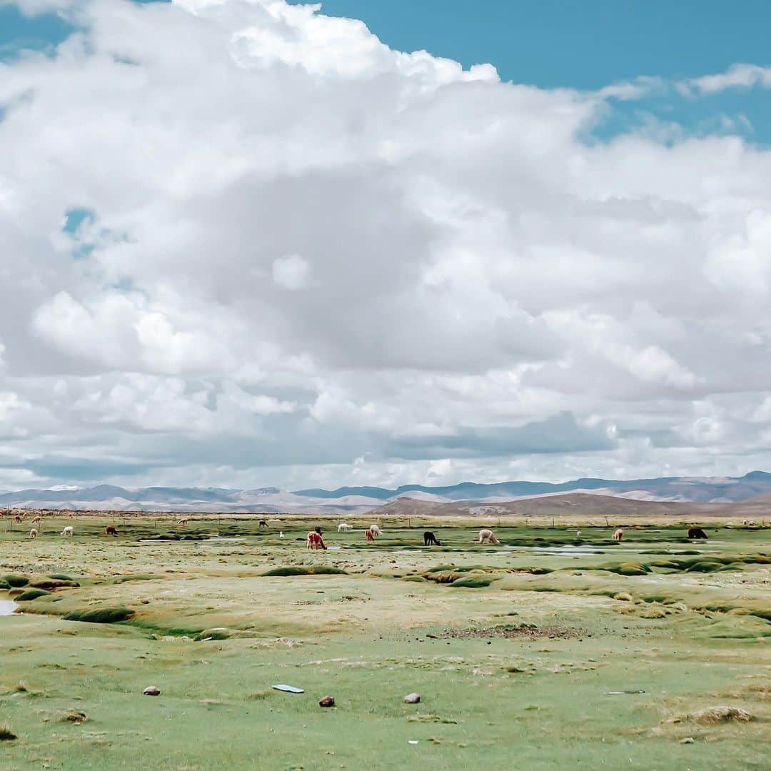 李翔のインスタグラム：「旅行回憶 Arequipa - Chivay 34e公路 - #rx100m6 #sony祕魯映像  @sonytaiwan @sonyalpha」