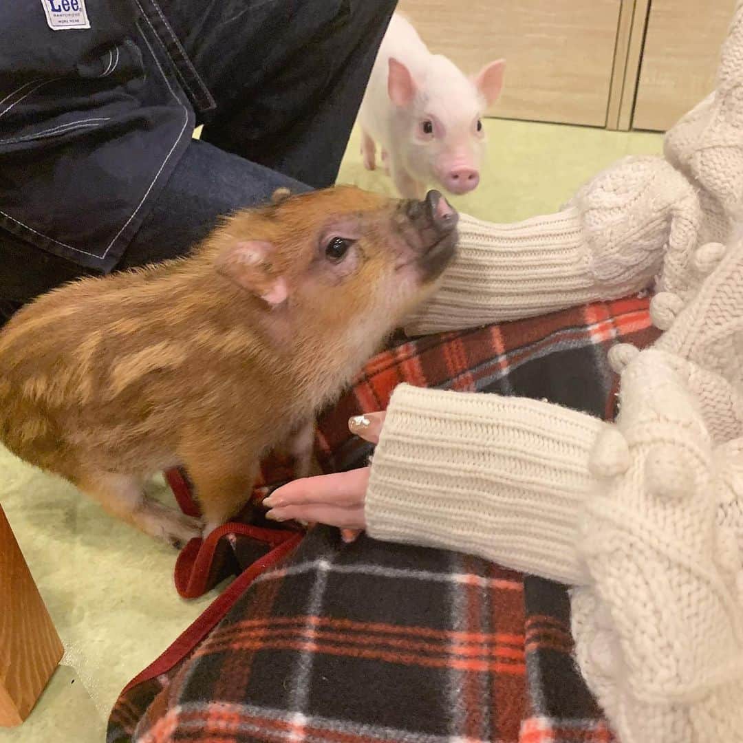 中沢結のグルメインスタ