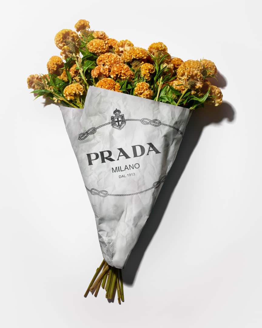 プラダさんのインスタグラム写真 - (プラダInstagram)「Interested in the here and now. The #PradaResort20 campaign debuts on flower shop bouquets around the world. Pick one up, or discover more via link in bio. Discover more via link in bio. #Prada #PradaSeditiousSimplicity」11月17日 20時30分 - prada