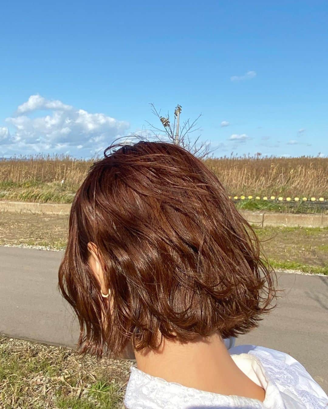 柴田紗希さんのインスタグラム写真 - (柴田紗希Instagram)「髪をね、久しぶりにオレンジにしたよ。 new hair〜♡ すごく気に入ってます また次もオレンジにしようと思います @_hitomi_okubo_ ☺️🙏🏻」11月17日 20時47分 - shibasaaki