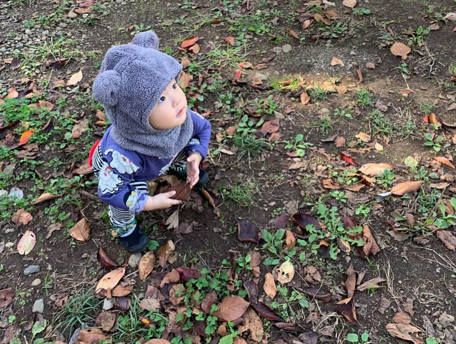 ᴋᴀɴᴀᴋöさんのインスタグラム写真 - (ᴋᴀɴᴀᴋöInstagram)「今日も 元気いっぱい 公園で遊びました👦🏻👶🏻👦🏻🍂 公園 3つ はしごしたよ🤣🎪🌱 * 🧥→ @urbancherry_  裏起毛で あたたかいし、ナイロンだから汚れを気にせず　思いっきり 遊ばせてあげられる🙆🏻‍♀️🎵✨ * #公園#休みの日の過ごし方#双子#3兄弟#urbancherry」11月17日 20時54分 - kanakokko_34_