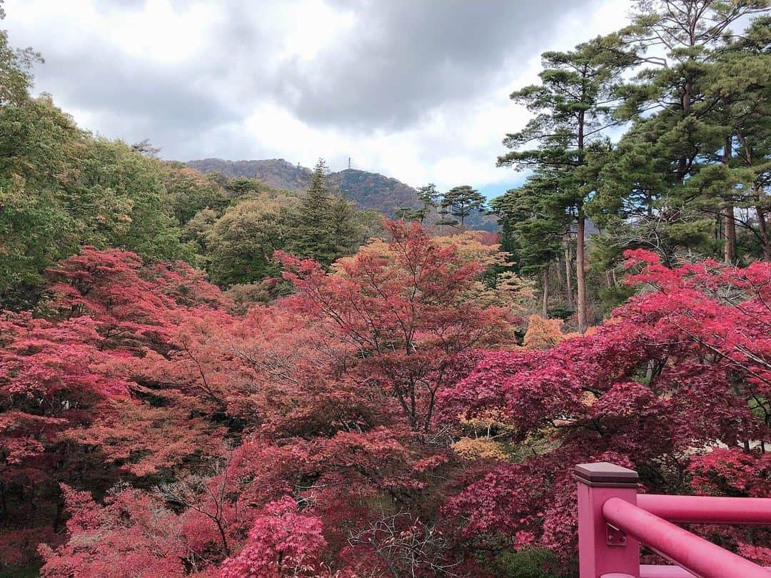 本間紗理奈さんのインスタグラム写真 - (本間紗理奈Instagram)「この前行った弥彦公園もみじ谷🍁すごく綺麗でベストな日に行けた良かった😊✨私の地元弥彦にたくさんの観光客！もちろん弥彦神社に友人のお店も行ってきたよ🥰💋 #弥彦村 #弥彦 #弥彦公園 #弥彦公園もみじ谷 #弥彦神社 #西澤商店 #成沢商店 #本間紗理奈」11月17日 20時58分 - sarinaaaaa_h