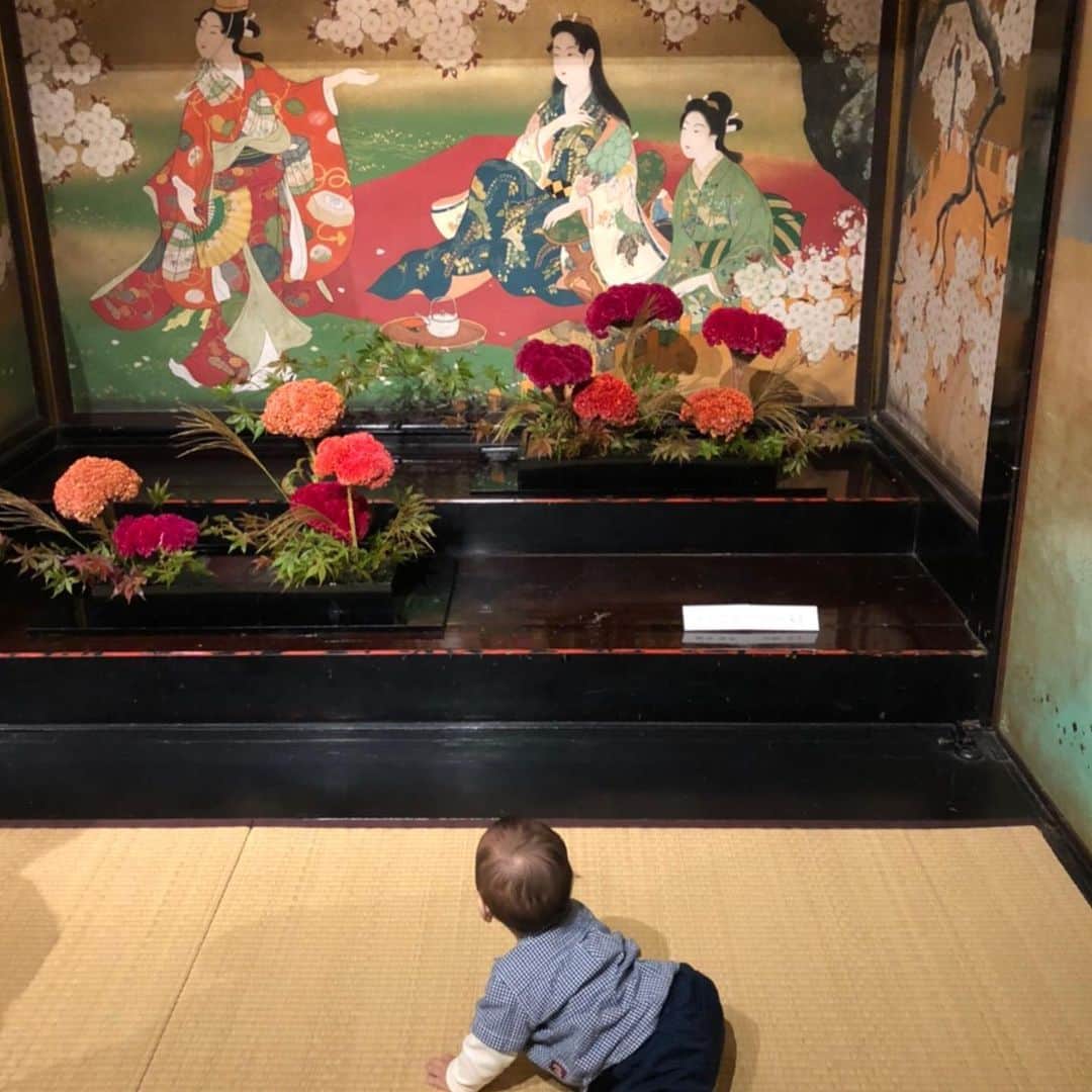 大西蘭のインスタグラム：「・ 雅叙園で百段階段の生花展とランチ🍽 ・ 百段階段はどのお部屋も豪華で素晴らしくて、そこに生花が飾られているから、更に華やかで、とても見応えがありました💐 ・ イタリアンも美味しくて、私の誕生日とこぐまちゃんの少し早い誕生日をお祝いしてもらいました💕 ・ こぐまちゃん、ケーキに興味津々🐻 こぐまちゃんはまだケーキを食べられないので私たちで食べたけどね。 ・ ・ #雅叙園 #百段階段 #百段階段いけばな展 #雅叙園ランチ」