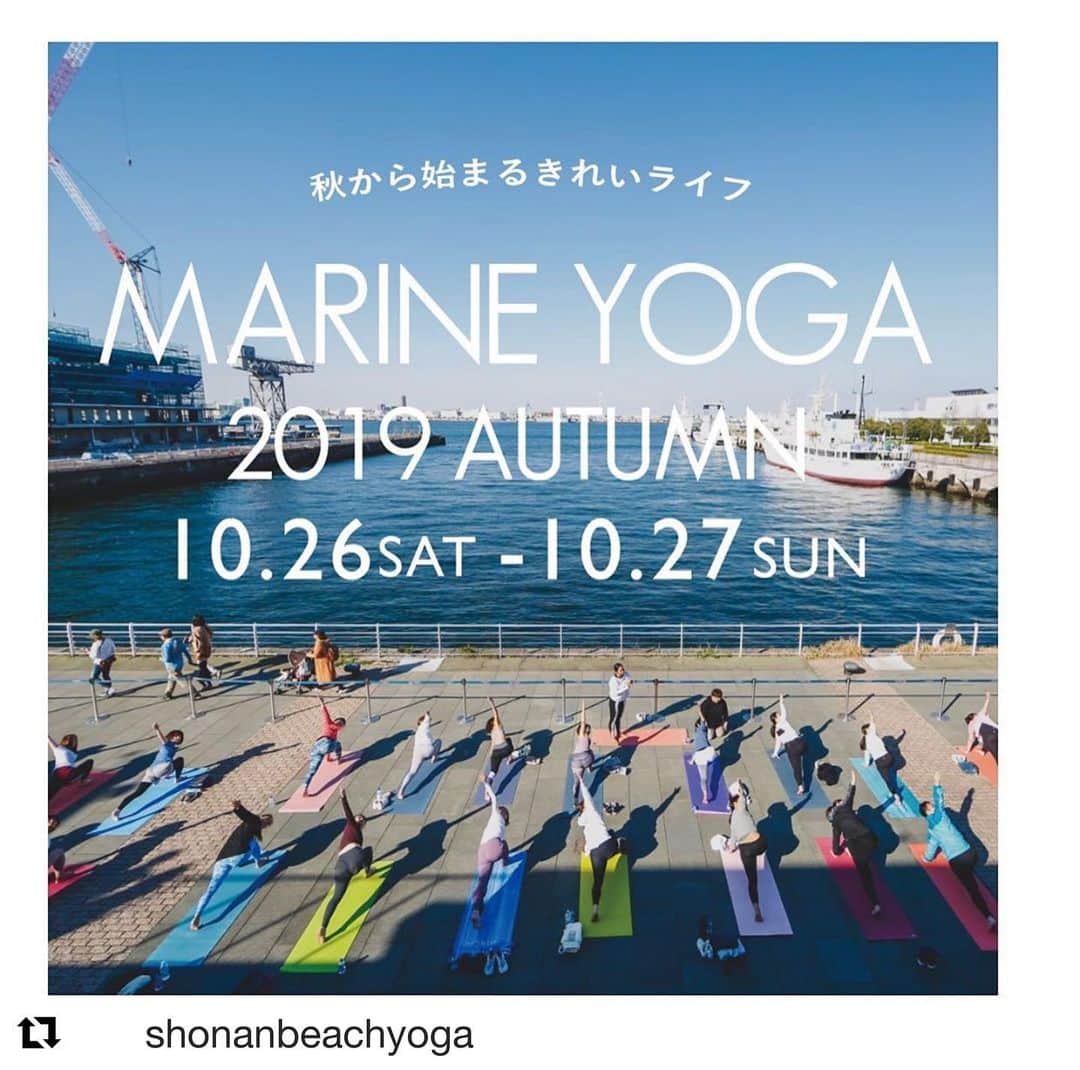 鈴木サチのインスタグラム