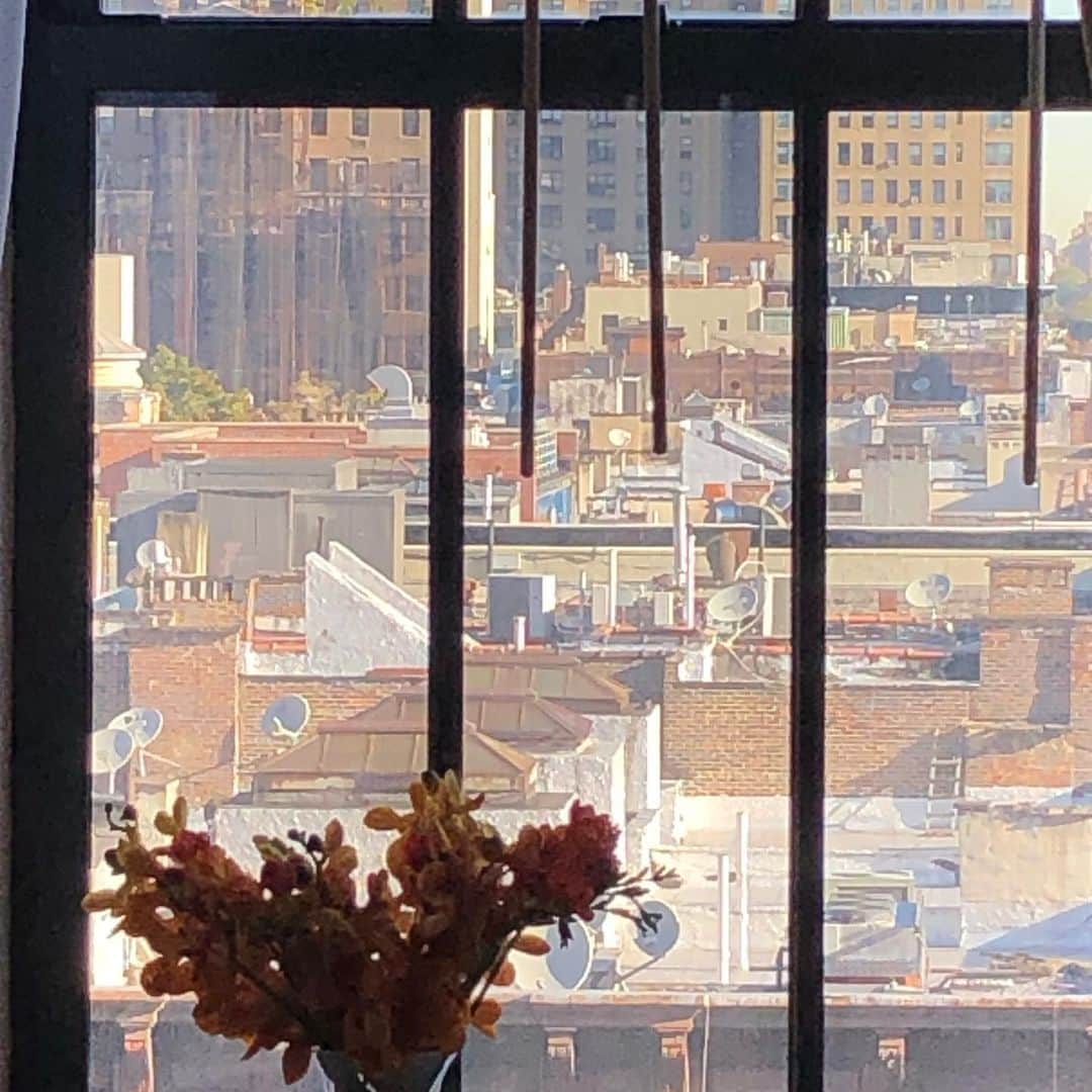 メアリー・マクドネルのインスタグラム：「It’s hard to express how much I love this city. Till next time NYC stay safe! ❤️」