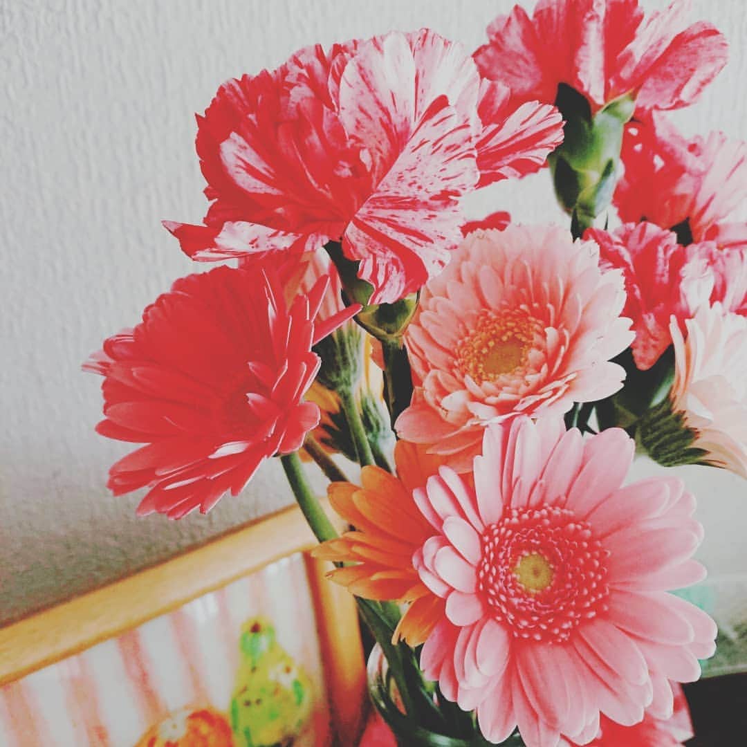 なつ葵さんのインスタグラム写真 - (なつ葵Instagram)「💠🌹✨💠🌹✨ #お花のある暮らし #ガーベラ#ピンク#インテリア#かわいいもの好きな人と繋がりたい」10月24日 22時45分 - natsuki_taiyaki