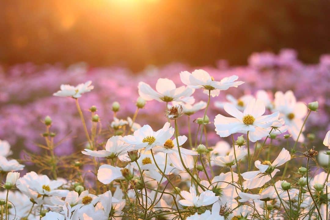 shin_goのグルメインスタ