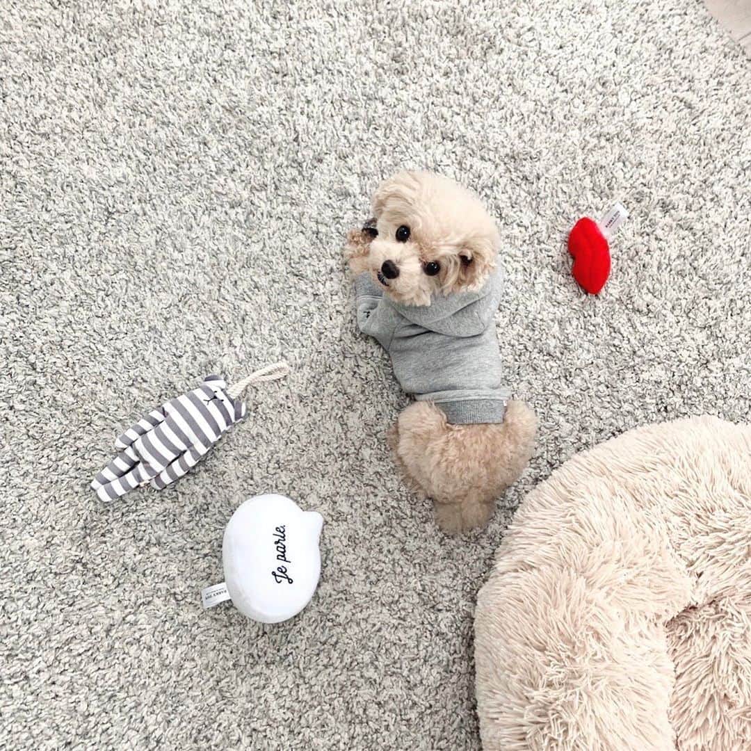 mizuのインスタグラム：「. この度も多くの方にご覧いただきまして、ありがとうございました。 . ご購入くださいました方の中にイニシャルのご希望を記入し忘れの方がいらっしゃいましたら、メール又はDMにてご連絡くださいますようよろしくお願いいたします。 . .」